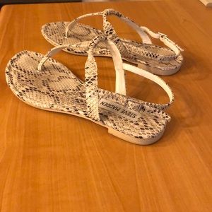 Animal print thing sandal by Steve Madden
